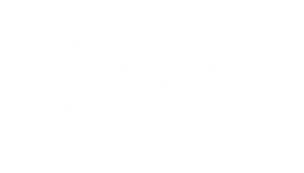 Wildflower Medicine