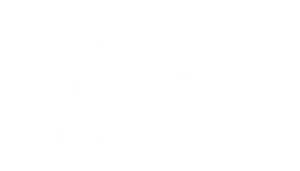 Wildflower Medicine