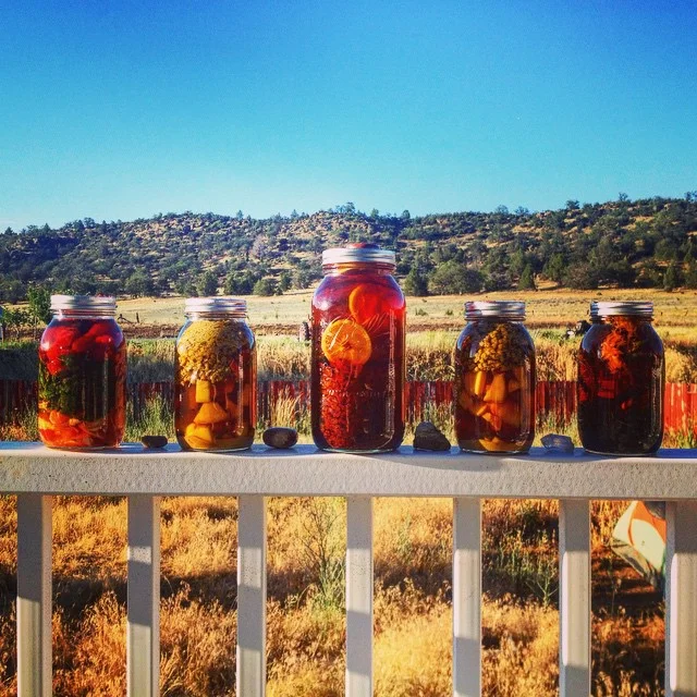5 Ways to Soak Up Summer Solstice! — Wildflower Medicine