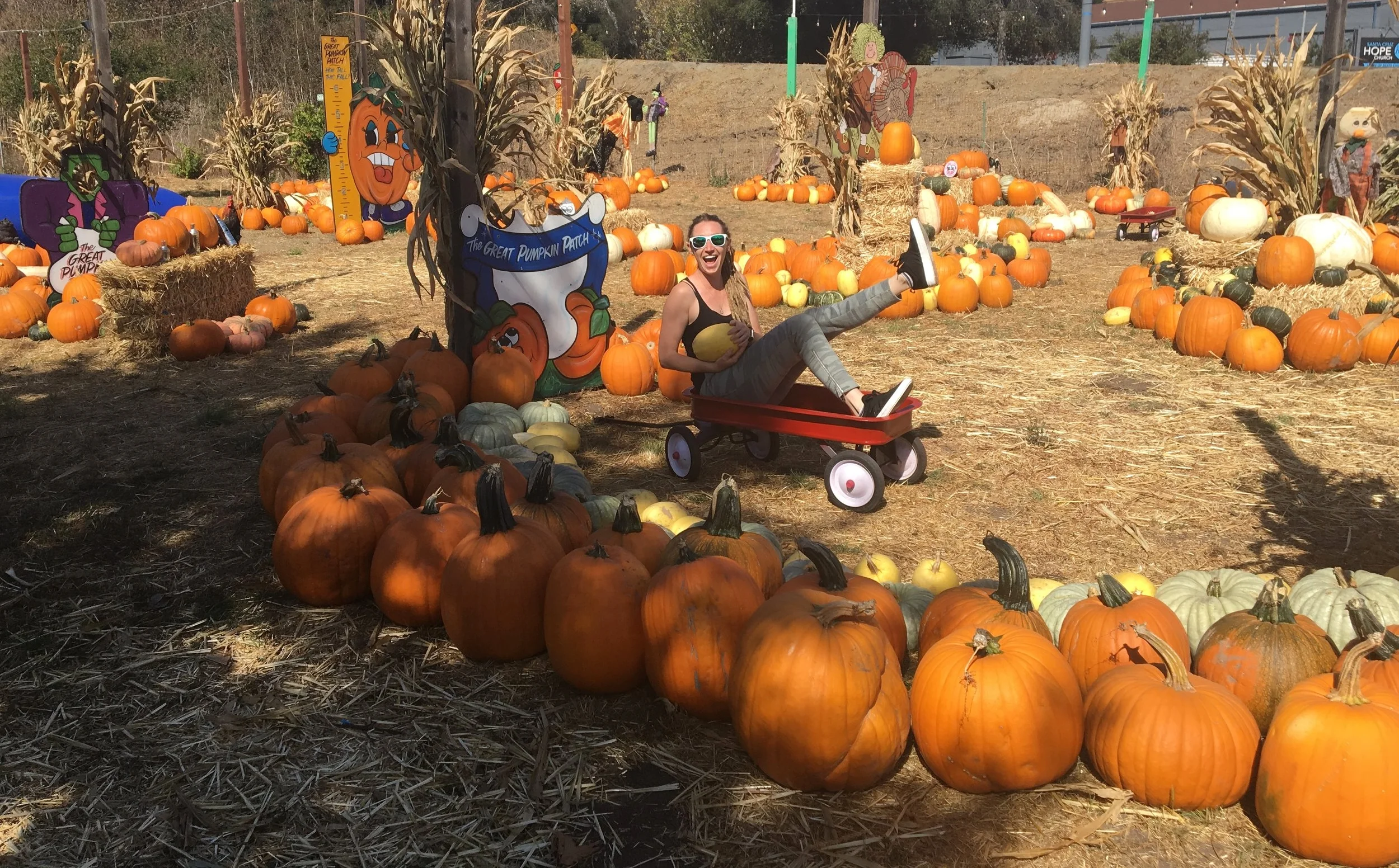 Healthy Trick-or-Treat Alternatives — Wildflower Medicine