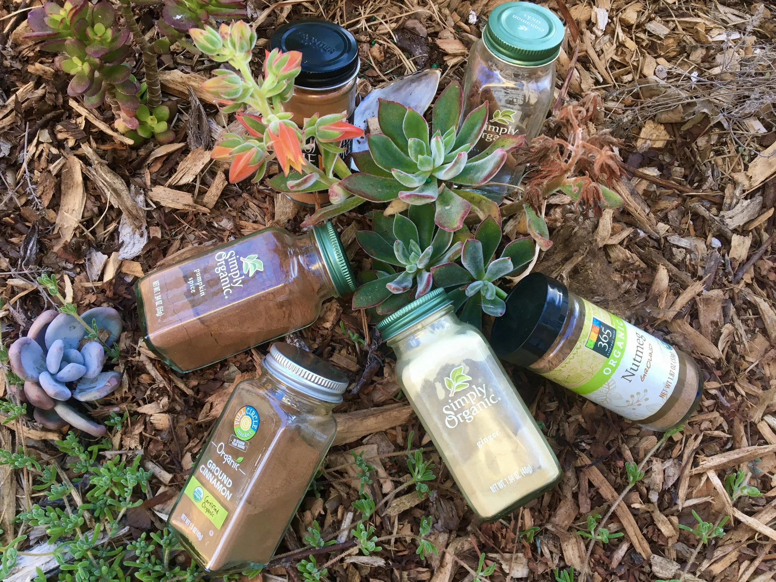 Recipe for Pumpkin Spice — Wildflower Medicine