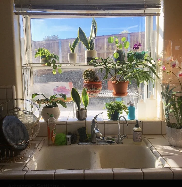A Greener Kitchen: How to find out which plastics are recyclable — Wildflower Medicine
