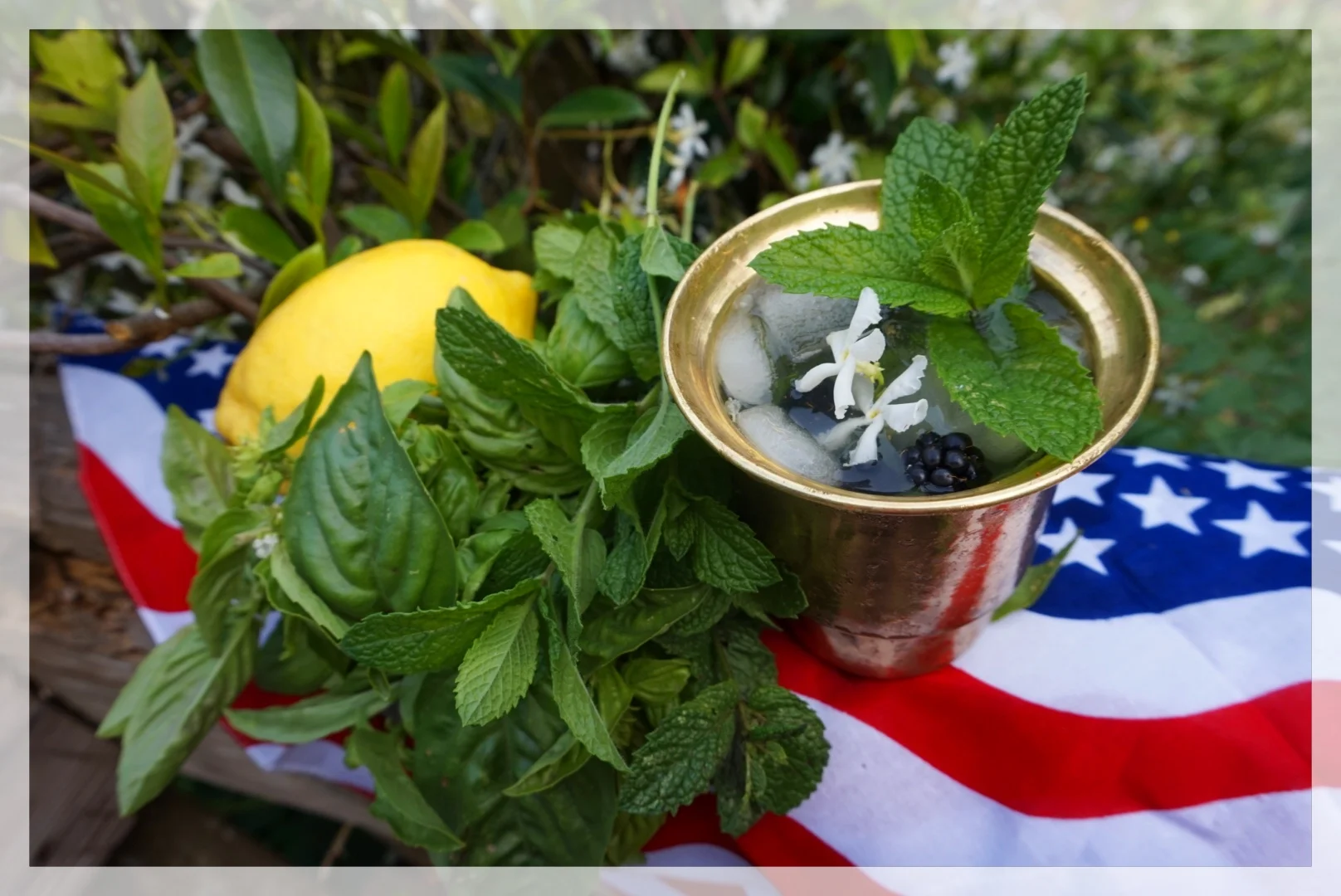 Fourth of July Summer Cocktail — Wildflower Medicine