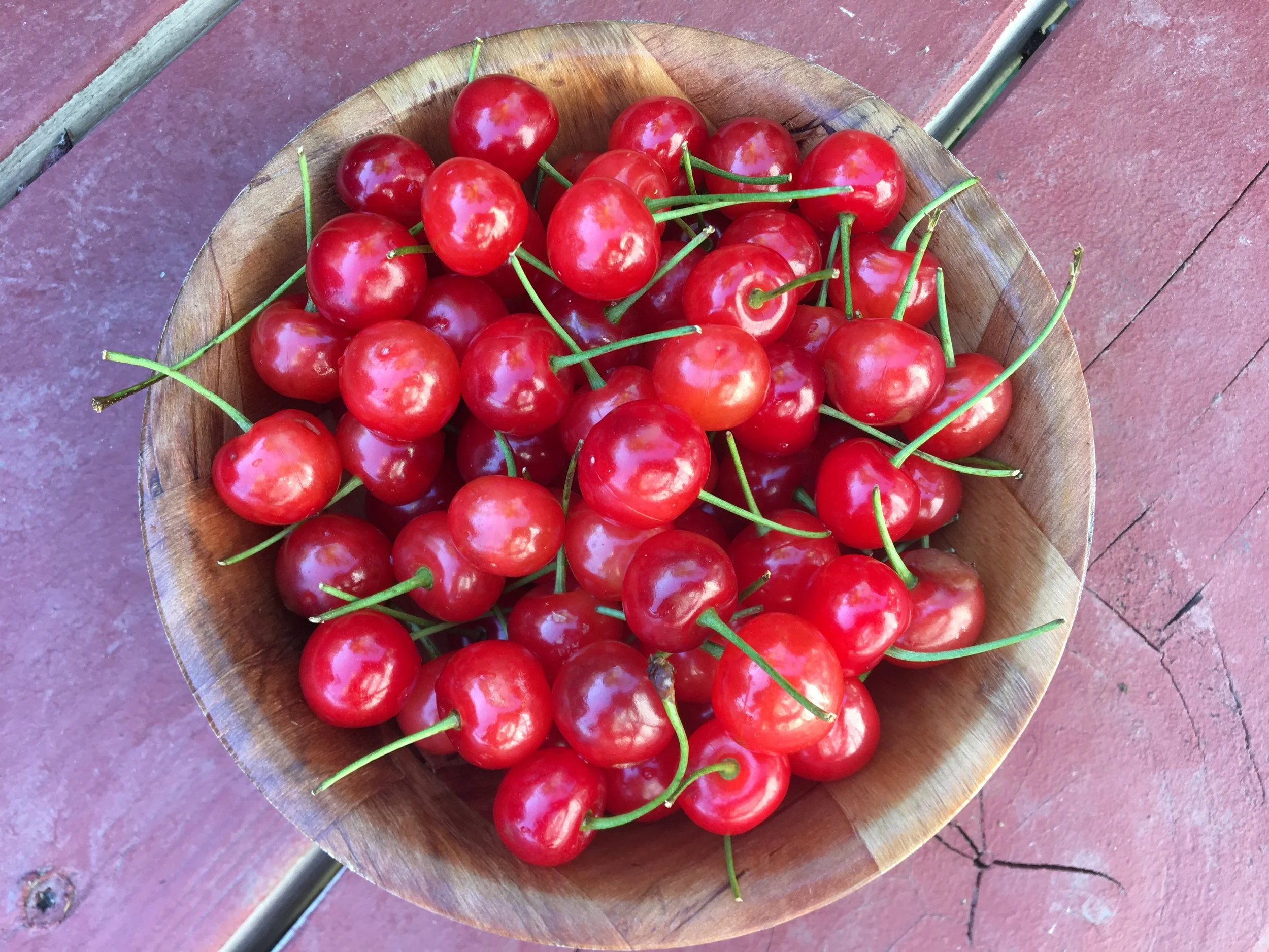 Poison Control — Wildflower Medicine