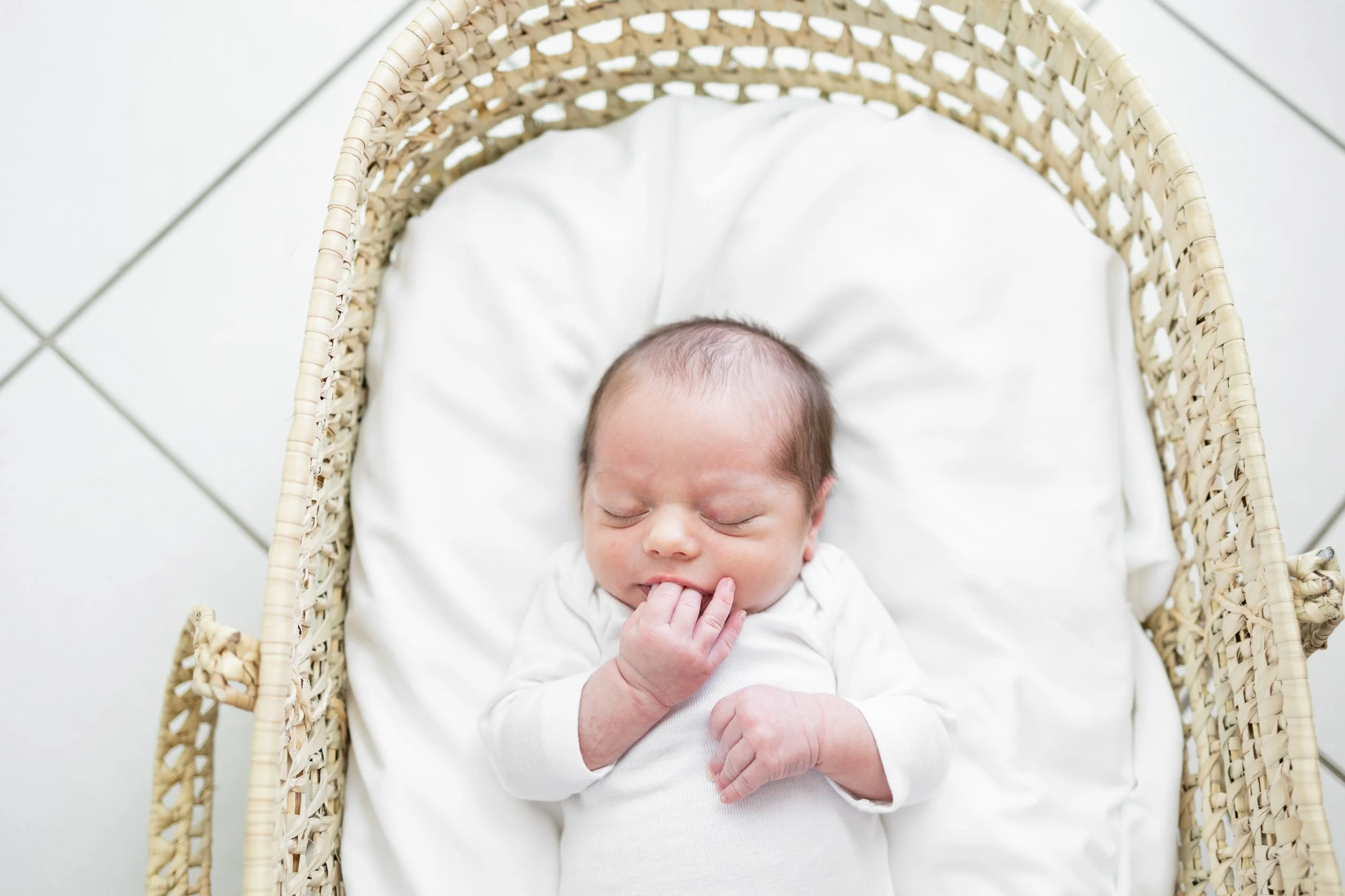 How to write a door sign for postpartum visitors — Wildflower Medicine