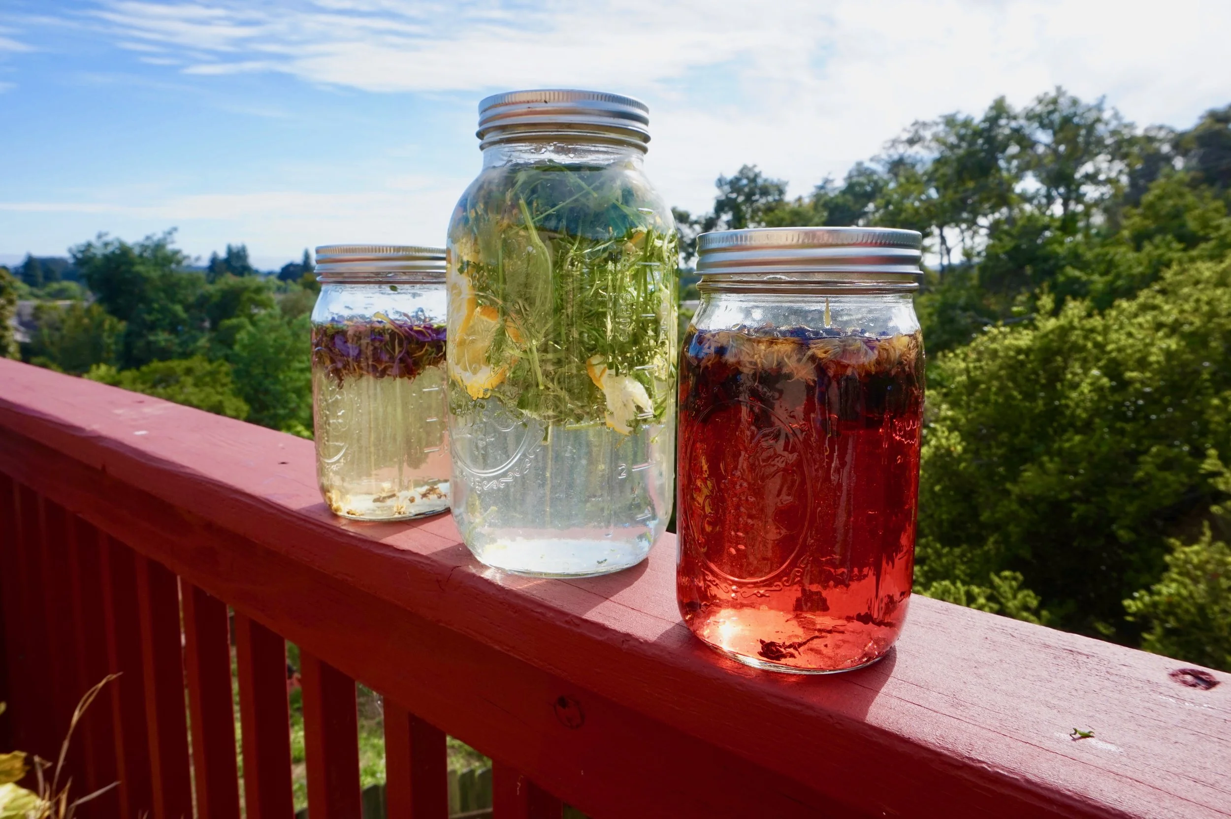 Summer Solstice Sun Tea — Wildflower Medicine