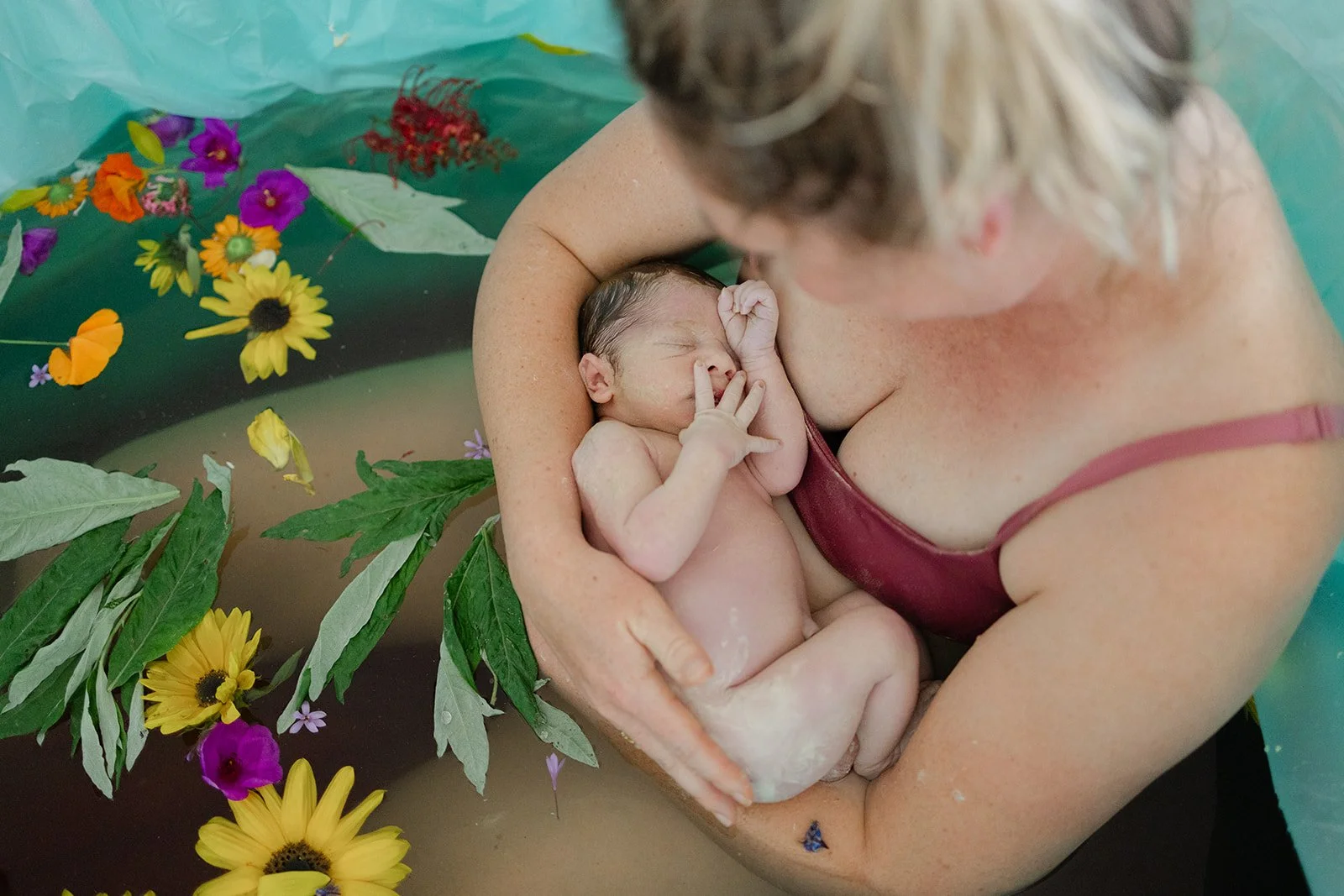 Home Birth Story #3! — Wildflower Medicine